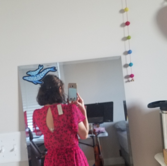 Francescas dress - Picture 3 of 3